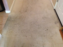Heaven's Best Carpet Cleaning Round Rock TX - Photo 3 - Car repair in Round Rock, TX, Round Rock