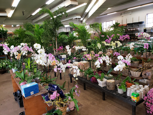 Florist «Cityside Flowers - Metropolitan Wholesale», reviews and photos, 285 N Midland Ave, Saddle Brook, NJ 07663, USA