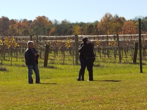 Vineyard «North Gate Vineyard», reviews and photos, 16031 Hillsboro Rd, Purcellville, VA 20132, USA