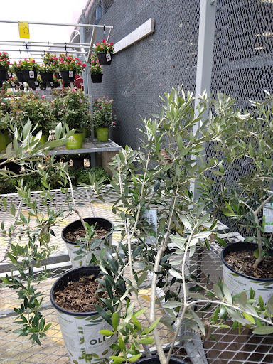 Home Improvement Store «The Home Depot», reviews and photos, 151 Windsor Ave, Terrell, TX 75160, USA