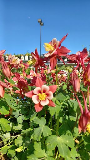 Home Improvement Store «The Home Depot», reviews and photos, 798 Main St, Johnson City, NY 13790, USA