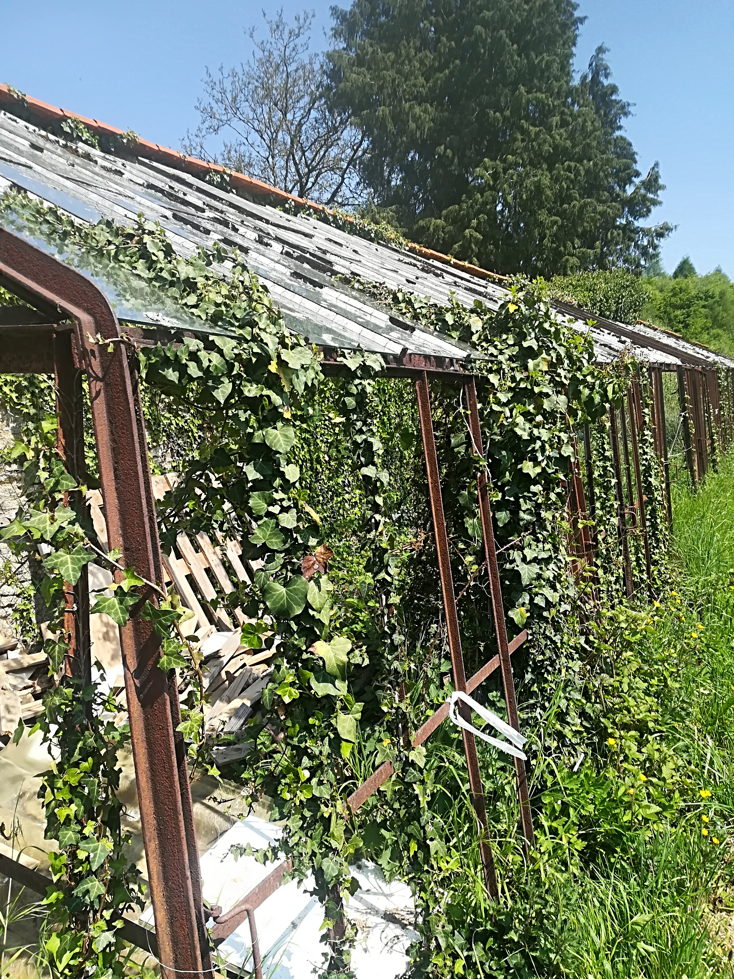 Photo n° 3 de l'avis de eric.o fait le 06/05/2018 à 13:38