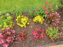 Greenville Woodworkers Guild - Photo 4 - Car repair in Greenville, SC, Mauldin