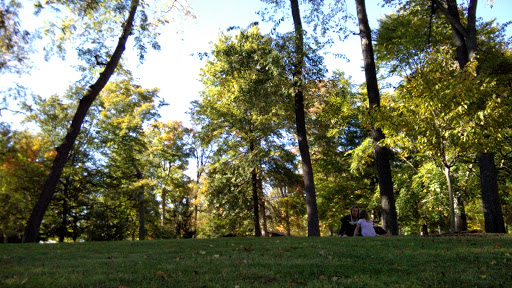 Forest Park Inn