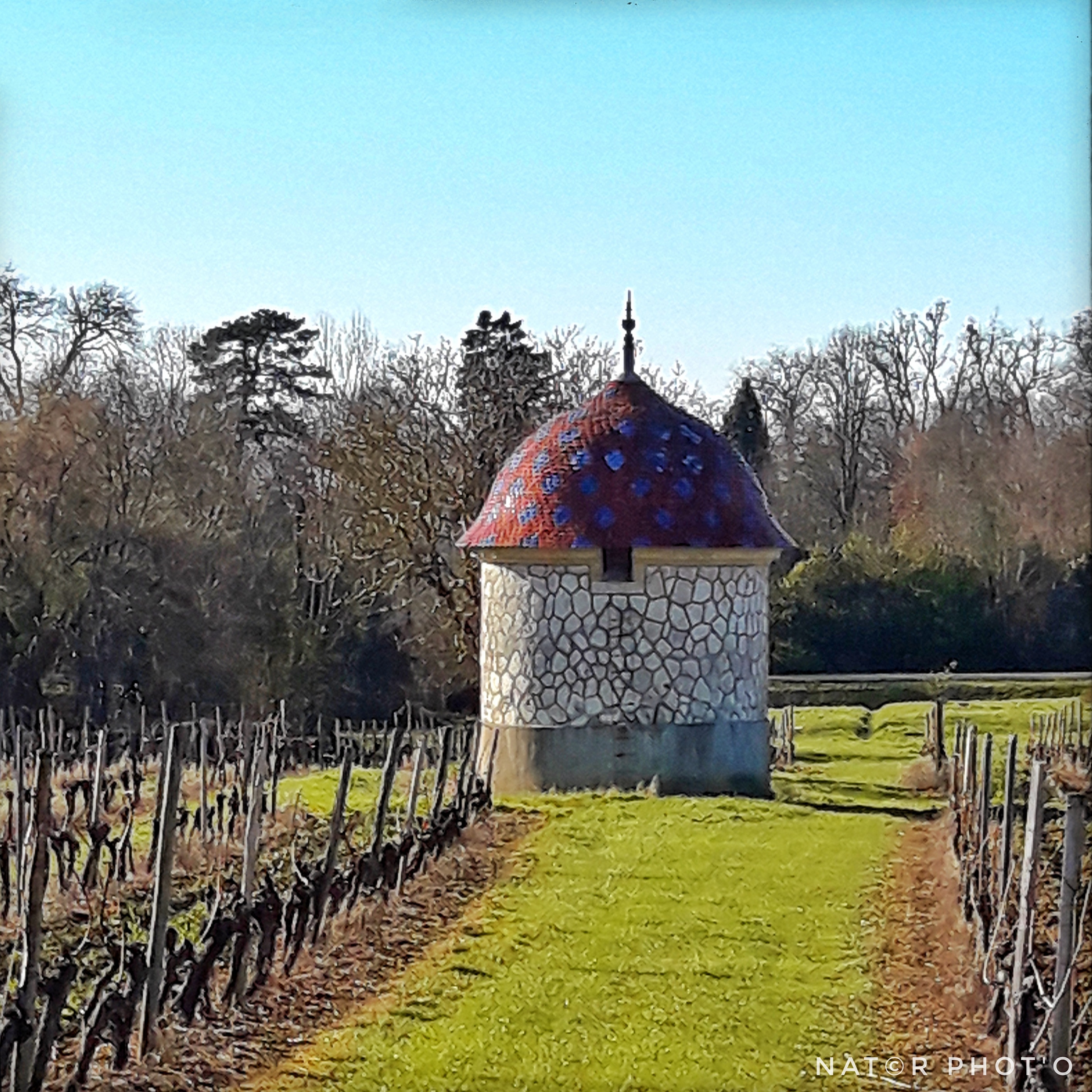 Photo n° 6 de l'avis de Nat.a fait le 24/02/2019 à 20:12