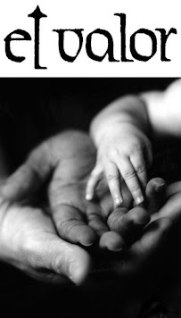 El Valor Cicero Children & Family Center - Photo 2 - Car repair in Cicero, IL, Round Lake Beach