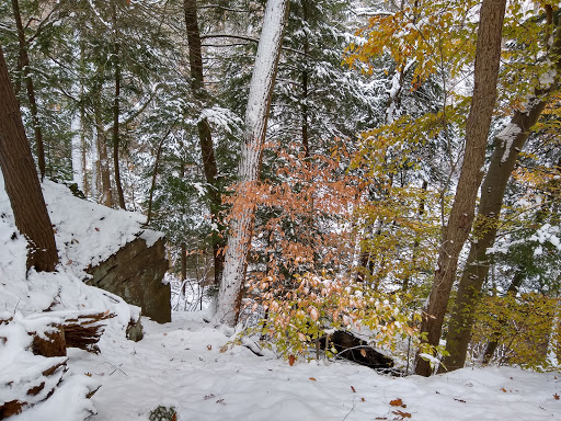 Tourist Attraction «Brandywine Gorge Trail», reviews and photos, 8176 Brandywine Rd, Sagamore Hills, OH 44067, USA