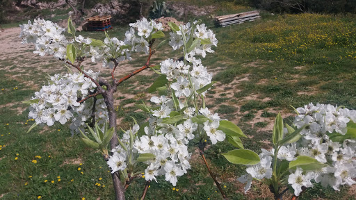 Photo 4 - Garage RETROAUTO - Mécanique automobile général - Spécialiste des véhicules anciens et/ou de collections
