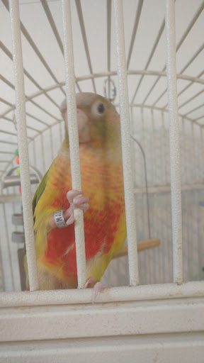 Pet Store «Pet Planet», reviews and photos, 11968 S Redwood Rd, Riverton, UT 84065, USA