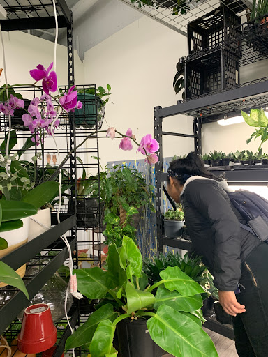 Wholesale Florist «Urban Jungle», reviews and photos, 2603 Sherman Ave NW, Washington, DC 20001, USA