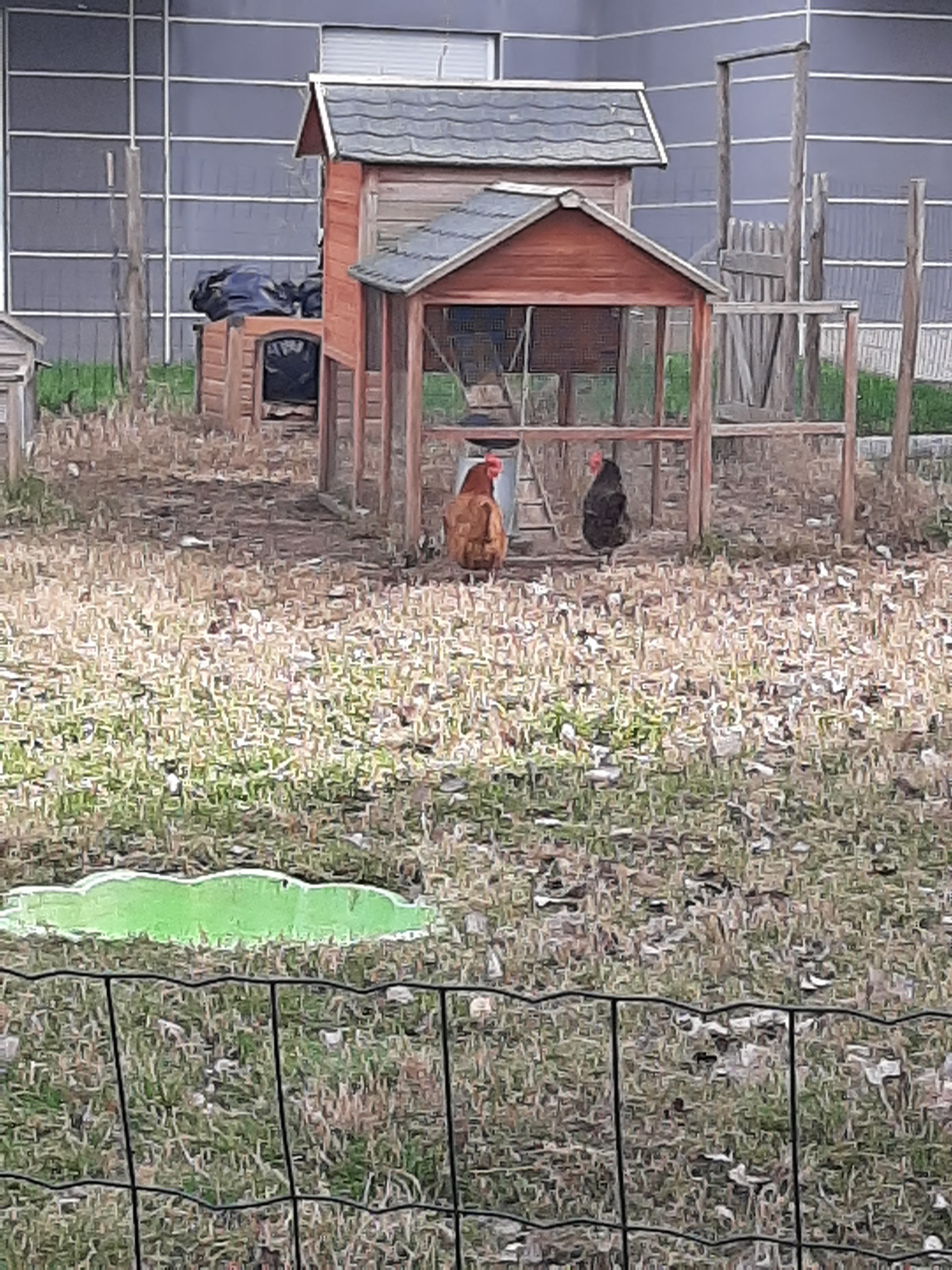 Photo n° 17 de l'avis de Chris.o fait le 14/01/2020 à 13:11