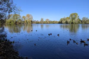 St Chad's Nature Reserve image