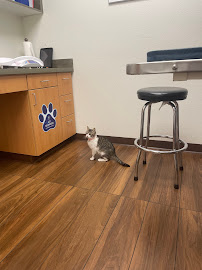 VCA Delta Oaks Animal Hospital - Photo 9 - Car repair in Eugene, OR, Eugene