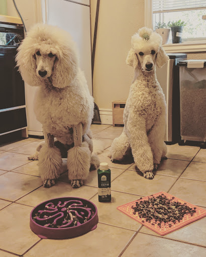 Pet Store «Mouthfuls Pet Supply Store», reviews and photos, 4224 Tennyson St, Denver, CO 80212, USA