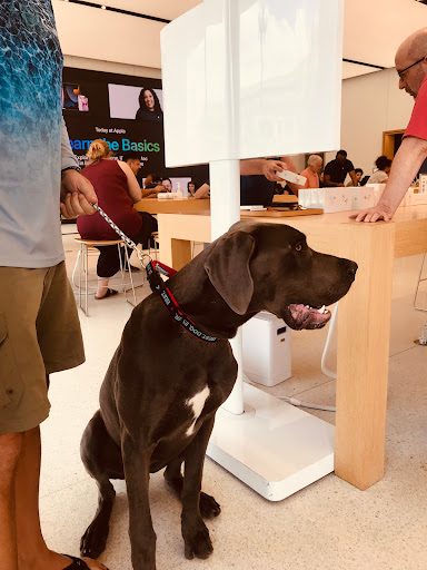 Computer Store «Apple Country Club Plaza», reviews and photos, 227 Nichols Rd, Kansas City, MO 64112, USA
