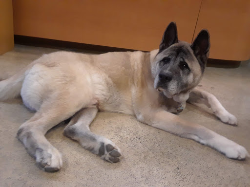 Pet Supply Store «All Natural Pet Supply», reviews and photos, 10501 NE Hwy 99 # 39, Vancouver, WA 98686, USA