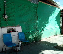 Mestizo Huaxyacac photo