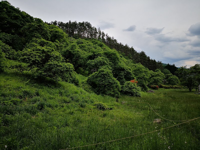 しだれ栗森林公園