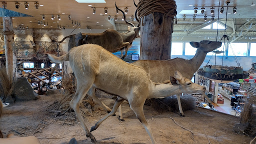 Sporting Goods Store «Bass Pro Shops», reviews and photos, 8200 Dean Martin Dr, Las Vegas, NV 89139, USA