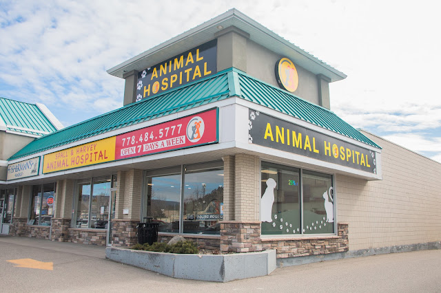 Spall & Harvey Animal Hospital