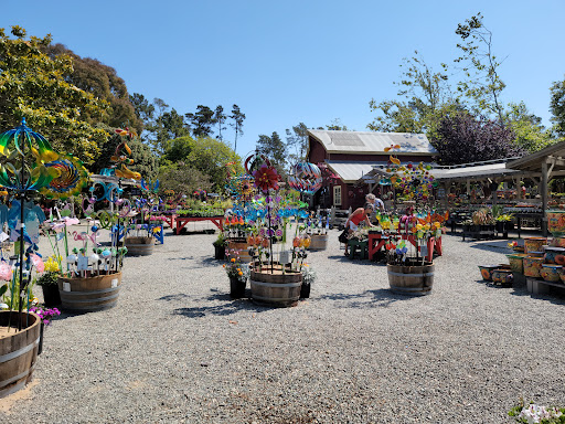 Florist «Cambria Nursery & Florist», reviews and photos, 2801 Eton Rd, Cambria, CA 93428, USA