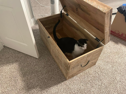 Furniture Store «Home Zone Furniture», reviews and photos, 1330 N Town E Blvd #500, Mesquite, TX 75150, USA