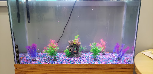 Pet Supply Store «PetSmart», reviews and photos, 98 Providence Hwy, East Walpole, MA 02032, USA