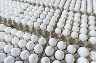 Comercial Chelis Venta de huevos y lacteos