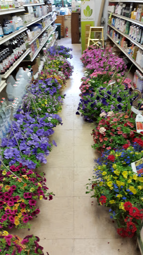 Health Food Store «Grapevine Natural Grocery», reviews and photos, 5 N State St, Newtown, PA 18940, USA