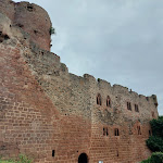 Photo n° 17 de l'avis de loic.e fait le 27/07/2023 à 08:38 pour La Volerie des Aigles à Kintzheim