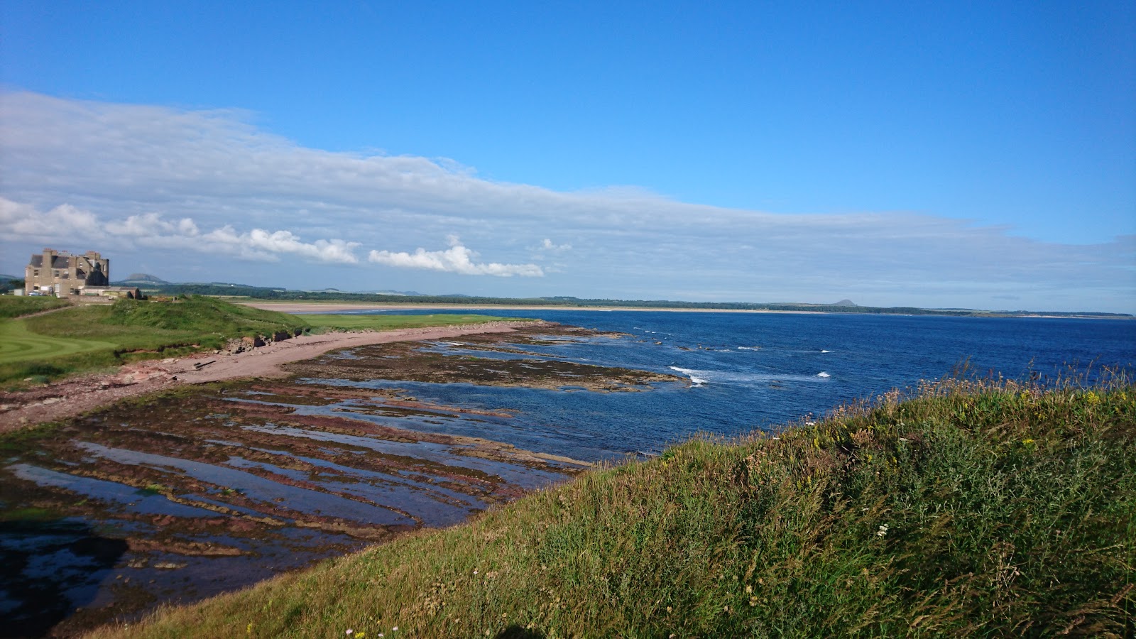 Dunbar Beach Access Path 2的照片 带有宽敞的海岸