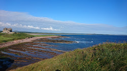 Foto von Dunbar Beach Access Path 2 mit sehr sauber Sauberkeitsgrad