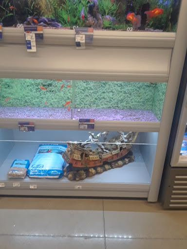 Pet Store «PetSmart», reviews and photos, 2211 Barrett Dr, Greenfield, IN 46140, USA