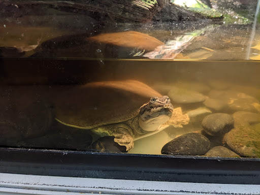 Pet Supply Store «Village Pet Shop», reviews and photos, 3008 Pacific Ave, Livermore, CA 94550, USA