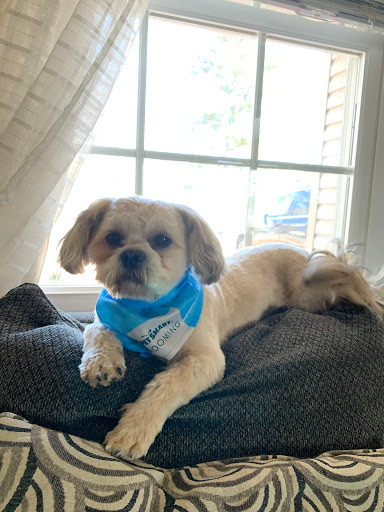 Pet Supply Store «PetSmart», reviews and photos, 13337 Worth Ave, Woodbridge, VA 22192, USA