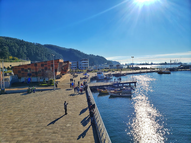 Comentarios y opiniones de Puerto De Talcahuano