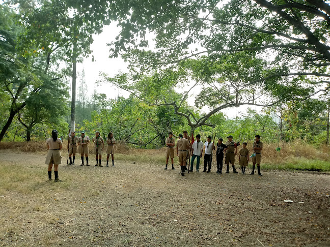 Fundación Ecosalud Bosque Palo Santo