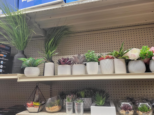 Discount Store «Big Lots», reviews and photos, 409 N Litchfield Rd, Goodyear, AZ 85338, USA