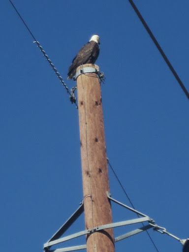 Park «South Platte Park and Carson Nature Center», reviews and photos, 3000 W Carson Dr, Littleton, CO 80120, USA