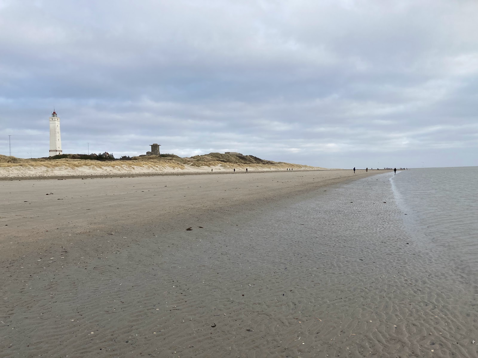 Blavandshuk Beach photo #8