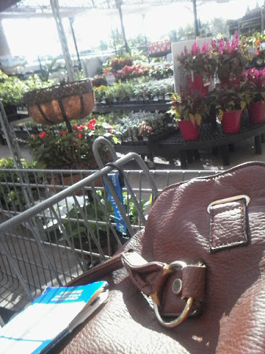 Department Store «Walmart Supercenter», reviews and photos, 460 Hospital Rd, New Roads, LA 70760, USA