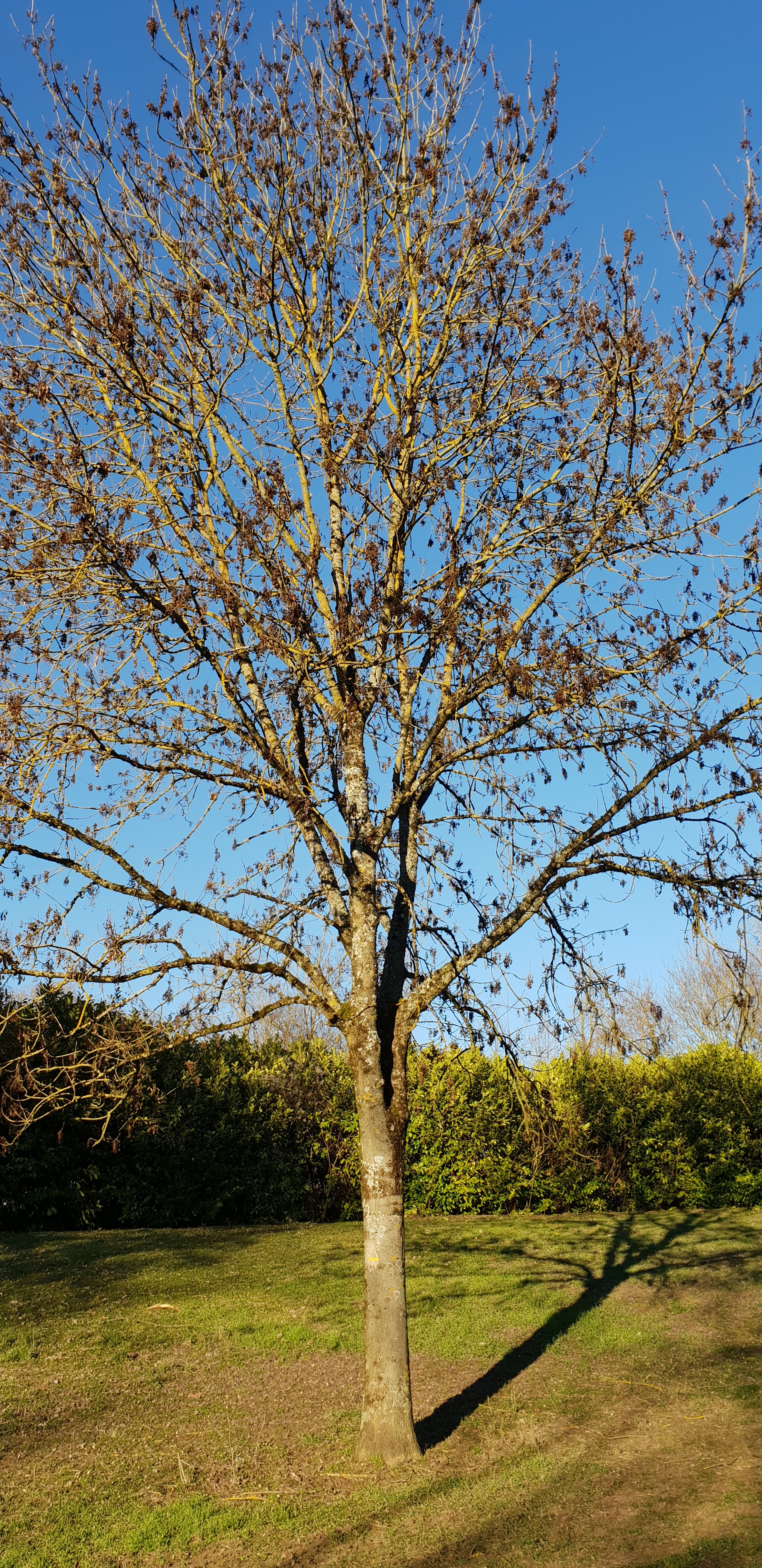 Photo n° 3 de l'avis de Rosa.o fait le 19/03/2019 à 22:34
