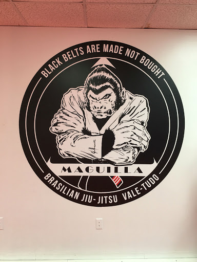 Jujitsu School «Maguilla Brazilian Jiu-Jitsu Inc.», reviews and photos, 2416 Blueridge Ave, Wheaton, MD 20902, USA