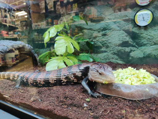 Pet Supply Store «Petco Animal Supplies», reviews and photos, 390 Universal Dr N, North Haven, CT 06473, USA