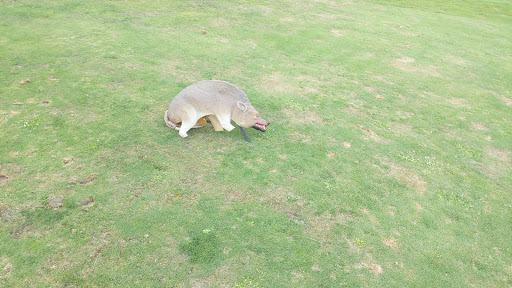 Golf Club «Twin Lakes Golf and Country Club», reviews and photos, 3583 SW 320th St, Federal Way, WA 98023, USA