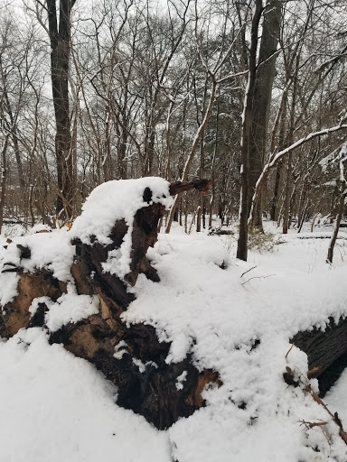 Park «Meadowbrook Local Park», reviews and photos, 7901 Meadowbrook Ln, Chevy Chase, MD 20815, USA