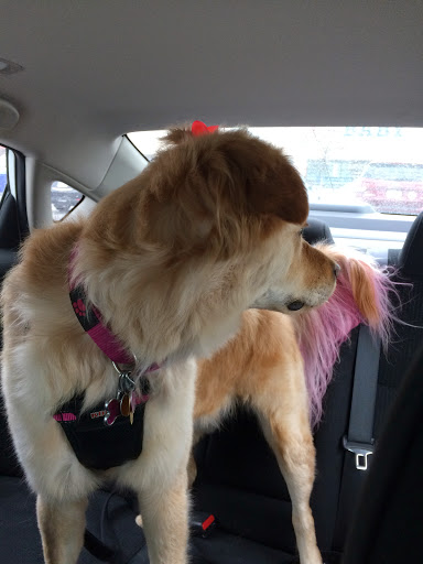 Shopping Mall «Consumer Centre», reviews and photos, 310 NJ-36, West Long Branch, NJ 07764, USA