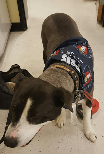 Pet Supply Store «PetSmart», reviews and photos, 6650 N Durango Dr, Las Vegas, NV 89149, USA