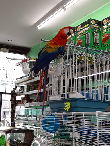 Pet Store «Jules Pet Shop», reviews and photos, 2214 N Milwaukee Ave, Chicago, IL 60647, USA