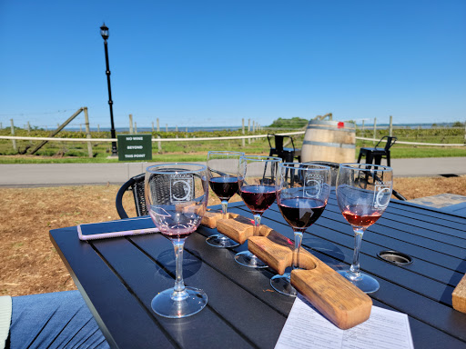 Vineyard «Ciccone Vineyard & Winery», reviews and photos, 10343 E Hilltop Rd, Suttons Bay, MI 49682, USA